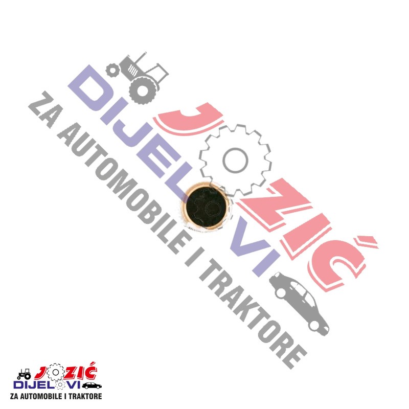 Daisy on the Ohoopee